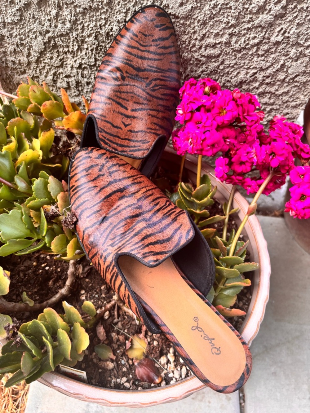 Qupid Tiger-Print Slip-On Mules in Brown and Black